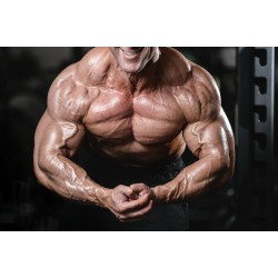 The Best SARMS for Bulking