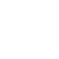 EPi - (Epistane) - 20mg